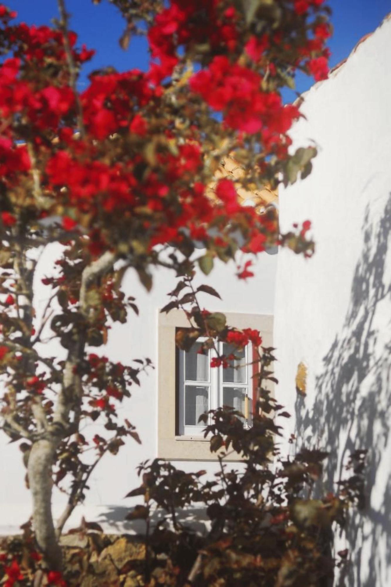 Casas Da Tia Alice - Casas De Campo Encantadoras Em Mafra Exterior photo